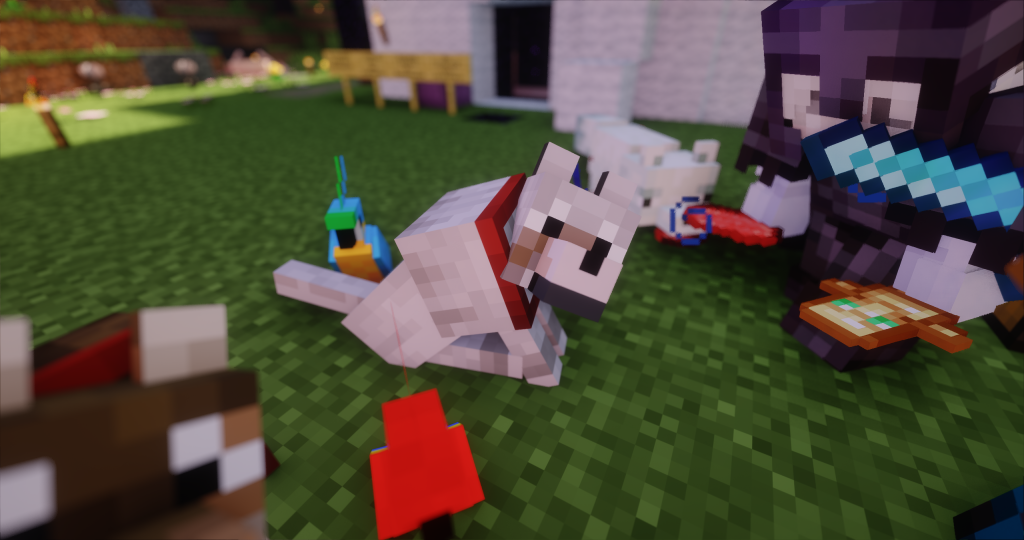 图片[12]-IXRMC-SucIXR的小站