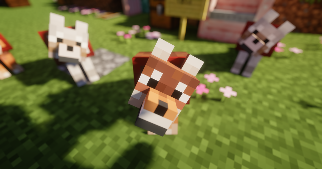 图片[10]-IXRMC-SucIXR的小站